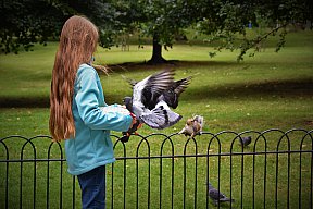 zum Vergrößern anklicken