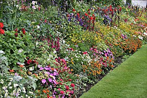 zum Vergrößern anklicken