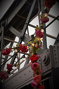 zum Vergrößern anklicken