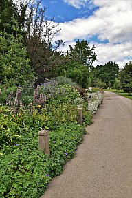 zum Vergrößern anklicken