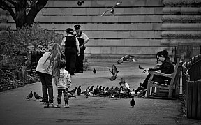 zum Vergrößern anklicken