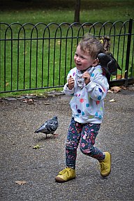 zum Vergrößern anklicken