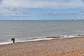 zum Vergrößern anklicken
