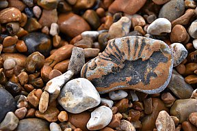 zum Vergrößern anklicken